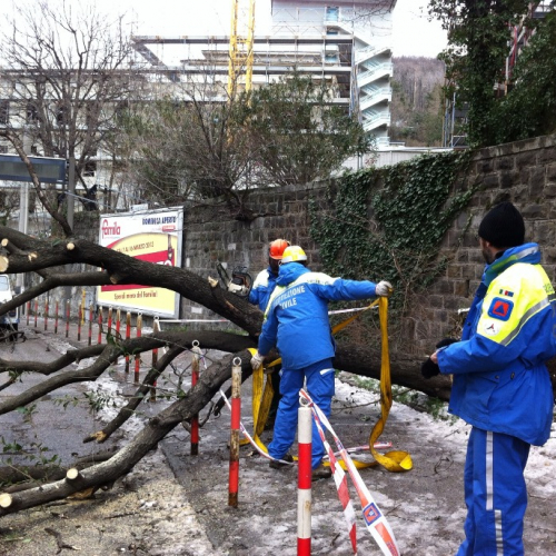 Interventi per maltempo del 25-26/03 n. 22 / 92460