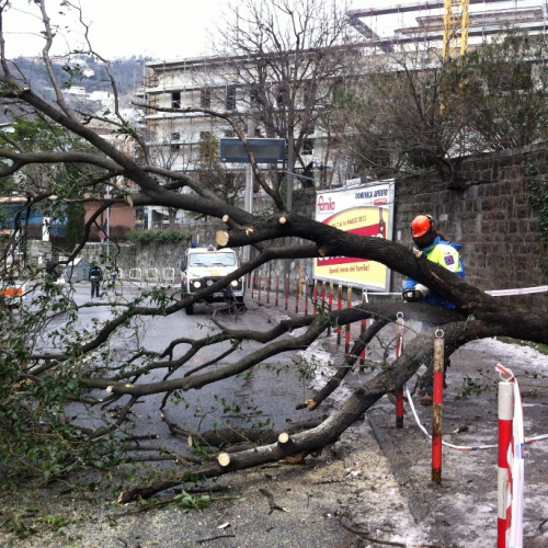 Interventi per maltempo del 25-26/03 n. 23 / 92461