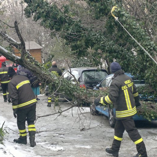 Interventi per maltempo del 25-26/03 n. 52 / 92490