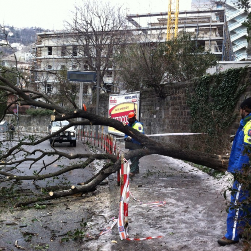 Interventi per maltempo del 25-26/03 n. 53 / 92491