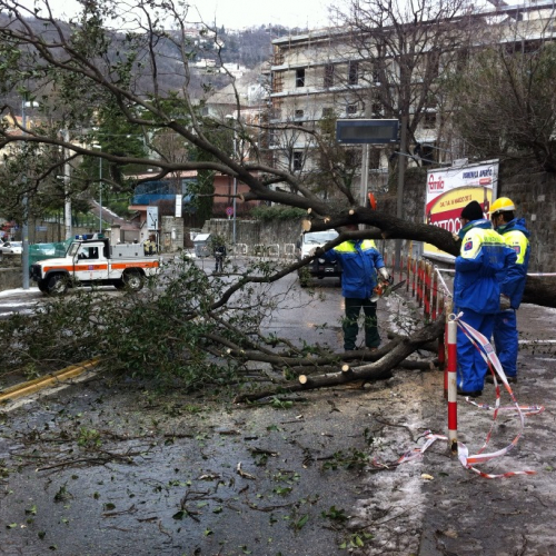 Interventi per maltempo del 25-26/03 n. 24 / 92462