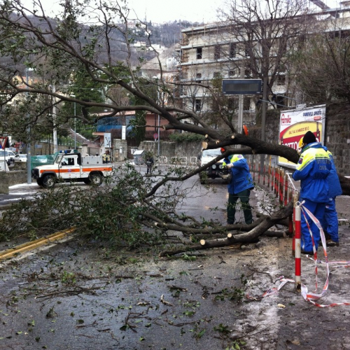 Interventi per maltempo del 25-26/03 n. 55 / 92493