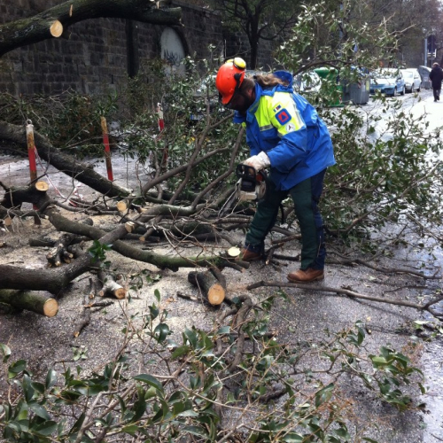 Interventi per maltempo del 25-26/03 n. 25 / 92463