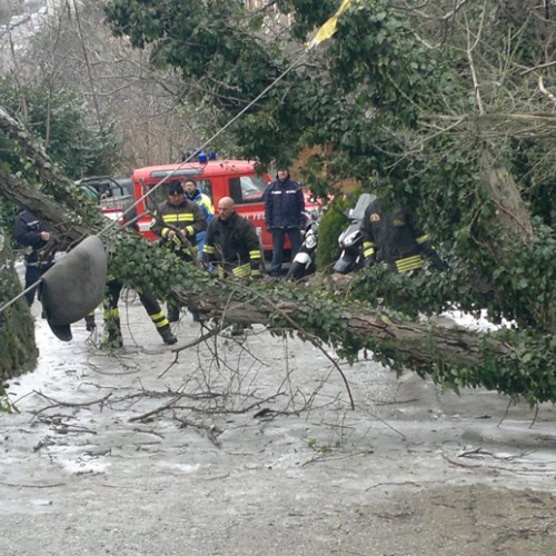 Interventi per maltempo del 25-26/03 n. 56 / 92494