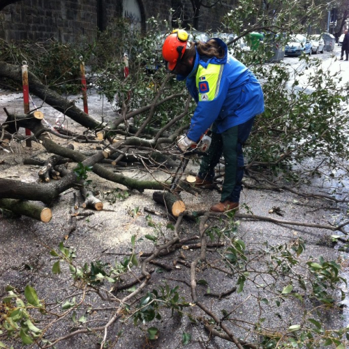 Interventi per maltempo del 25-26/03 n. 26 / 92464