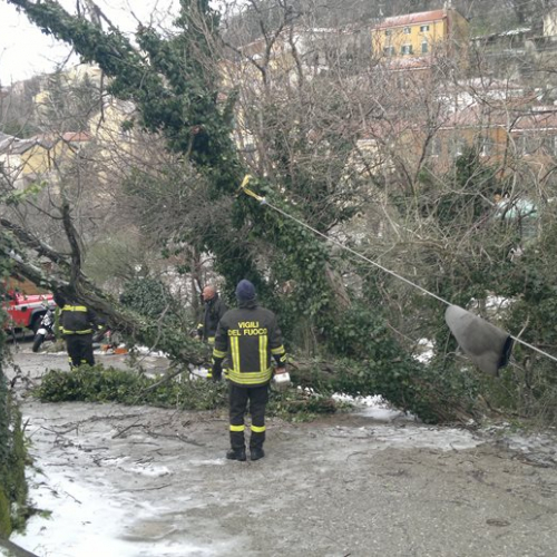 Interventi per maltempo del 25-26/03 n. 57 / 92495