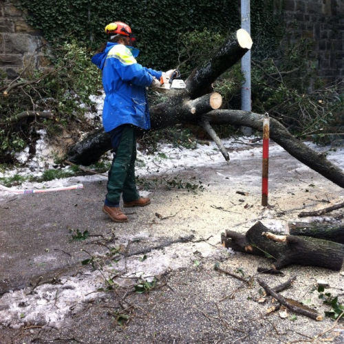 Interventi per maltempo del 25-26/03 n. 27 / 92465