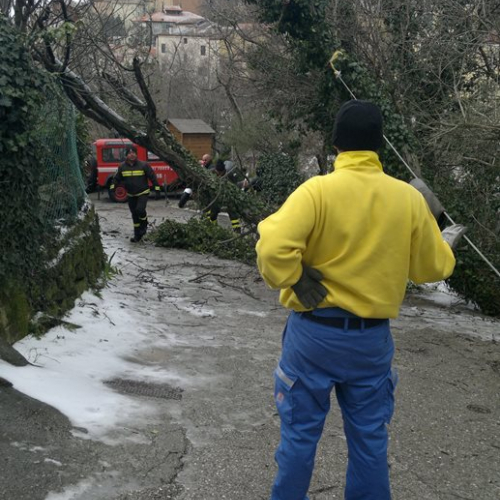 Interventi per maltempo del 25-26/03 n. 59 / 92497