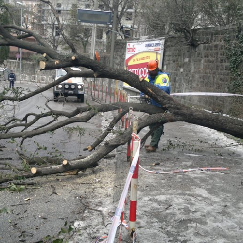 Interventi per maltempo del 25-26/03 n. 61 / 92499