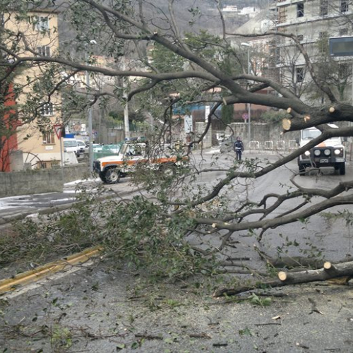 Interventi per maltempo del 25-26/03 n. 62 / 92500