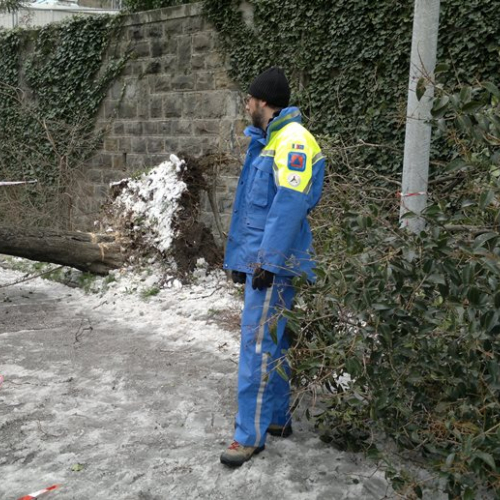 Interventi per maltempo del 25-26/03 n. 63 / 92501