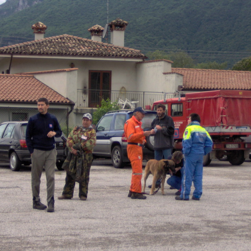 Attivit‡ del gruppo cinofili a Gemona 128 / 13234