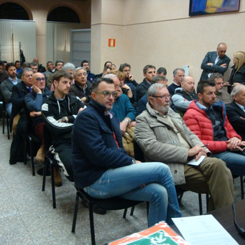 incontro COC Gorizia / 115981