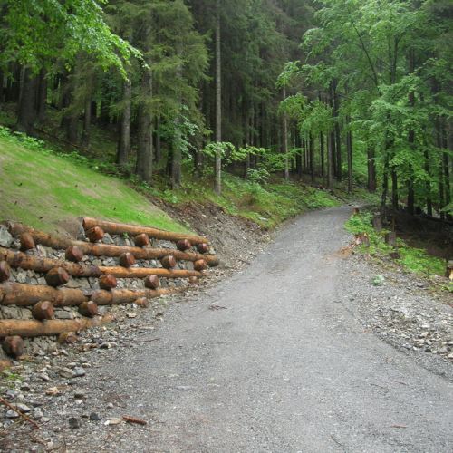 Foto OPI CD/P06/001 n. 2 / 24696