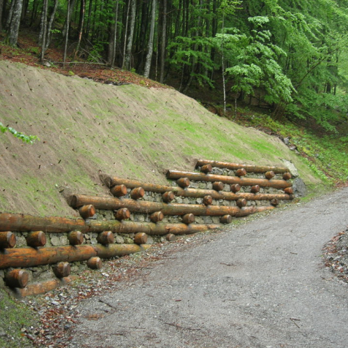 Foto OPI CD/P06/001 n. 3 / 24697