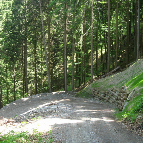 Foto OPI CD/P06/001 n. 4 / 24698