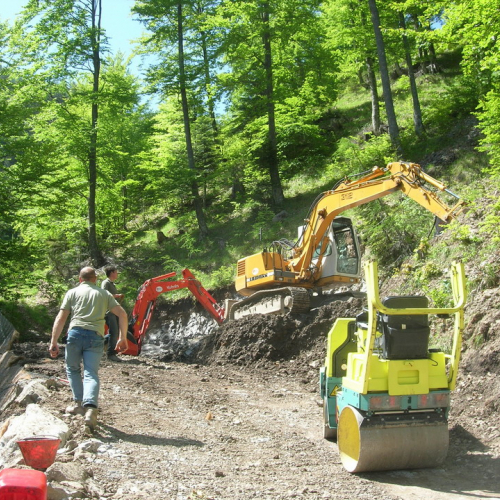 Foto OPI CD/P06/001 n. 7 / 24701