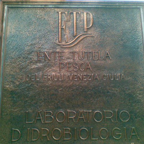 Corso formativo n. 2 / 77255