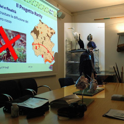 Corso formativo n. 7 / 77260