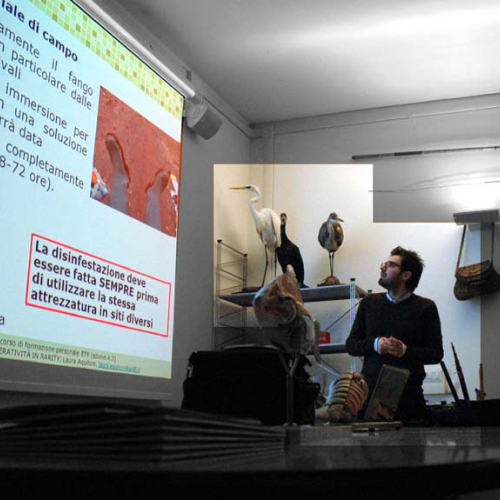 Corso formativo n. 9 / 77262