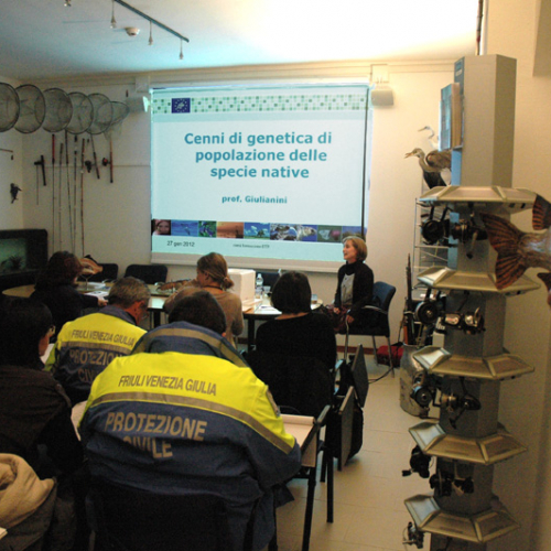Corso formativo n. 10 / 77263