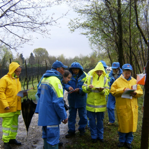 Esercitazione Orienteering 18/04 n. 4 / 50329