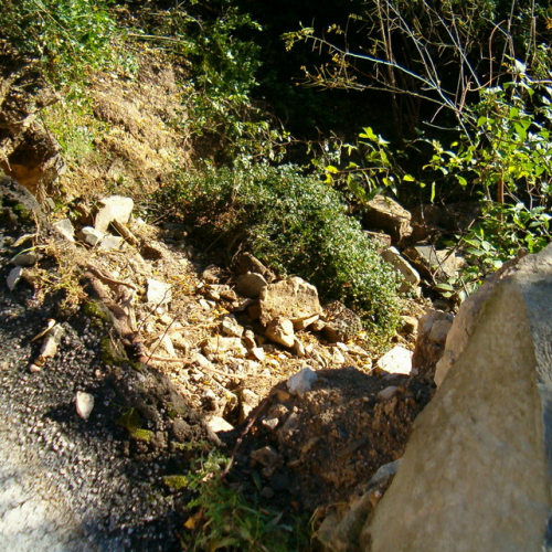 23/11 foto 15 / 6810