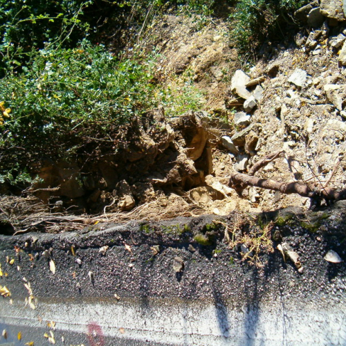 23/11 foto 16 / 6811