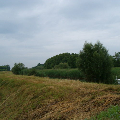 Situazione pre intervento OPI CD4/594.011 n. 4 / 36799