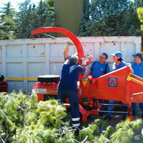 Volontari a Lignano n. 1 / 27896