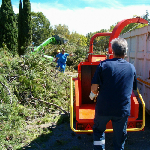 Volontari a Lignano n. 3 / 27898