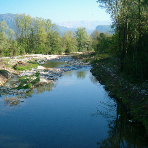 foto Cornappo 19 / 10801