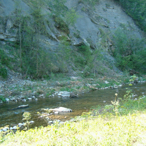 foto Cornappo 22 / 10806