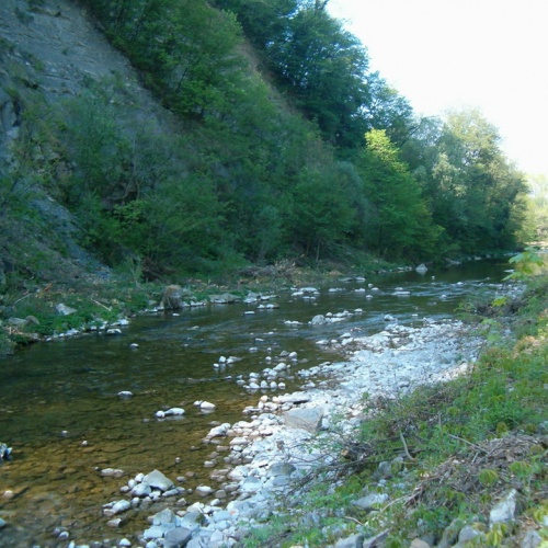 foto Cornappo 23 / 10808