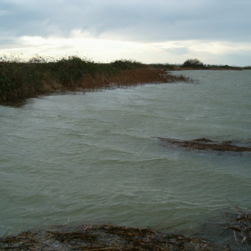 Marano mareggiata 01/12 n. 8 / 32766