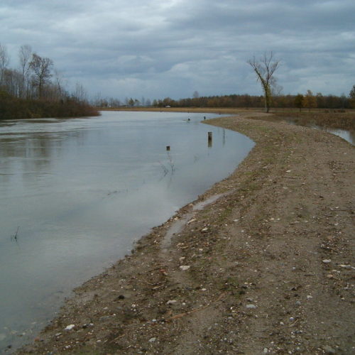 Palazzolo dello Stella 01/12 n. 1 / 32774