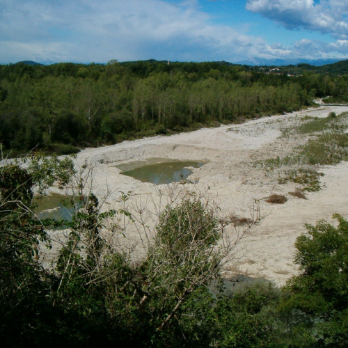 foto 1 conclusione OPI CD2/465.003 / 16419