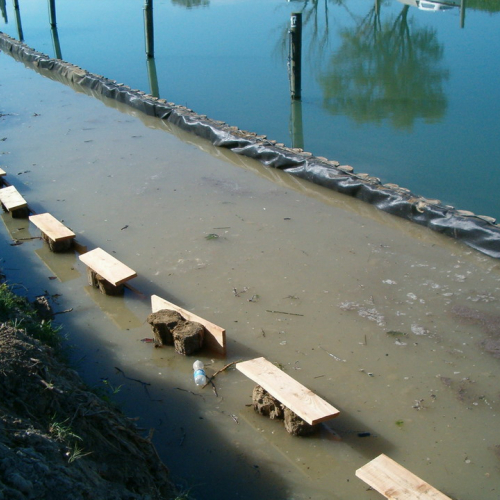 foto 25/09 7 / 17236