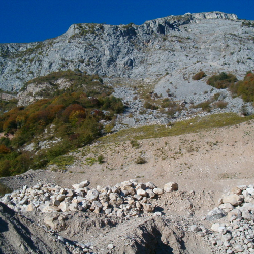 foto consegna 2 / 17544