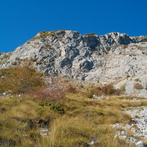 foto consegna 3 / 17545