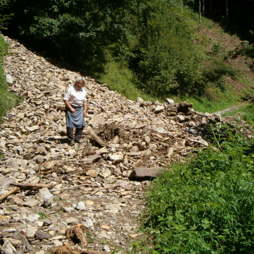 Arta Terme 16/08 n. 4 / 28787