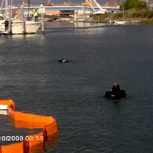 Bassa 2008 a Marano altre foto n. 5 / 30486