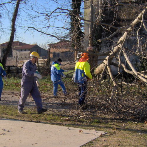 Attivit‡ addestrativa 11/12/10 n. 1 / 59230