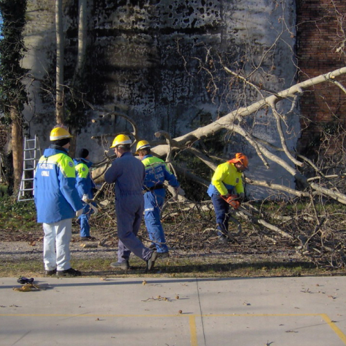 Attivit‡ addestrativa 11/12/10 n. 2 / 59231