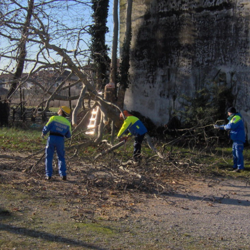 Attivit‡ addestrativa 11/12/10 n. 3 / 59232