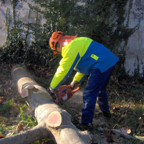 Attivit‡ addestrativa 11/12/10 n. 5 / 59234