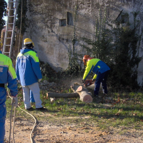 Attivit‡ addestrativa 11/12/10 n. 6 / 59235