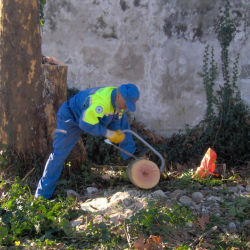 Attivit‡ addestrativa 11/12/10 n. 8 / 59237