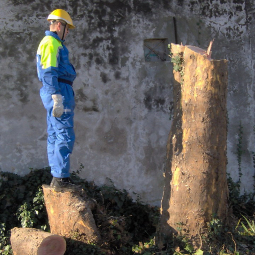 Attivit‡ addestrativa 11/12/10 n. 10 / 59239