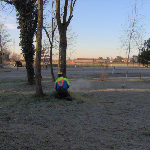 Lestizza 26/01 foto n. 1 / 20243